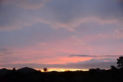 DSC_1439 (Large).JPG